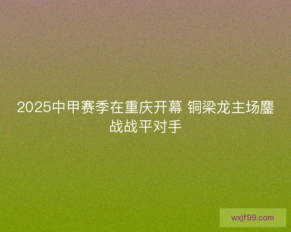 2025中甲赛季在重庆开幕 铜梁龙主场鏖战战平对手