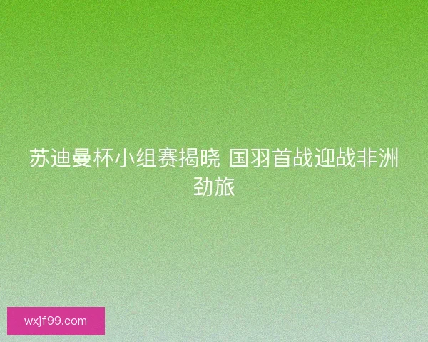苏迪曼杯小组赛揭晓 国羽首战迎战非洲劲旅